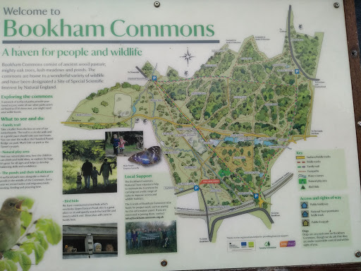 National Trust - Bookham Commons