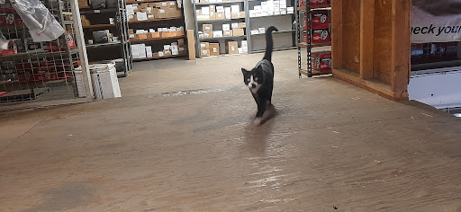 Auto Parts Store «Wilson Auto Parts», reviews and photos, 494 Valley Rd, West Orange, NJ 07052, USA