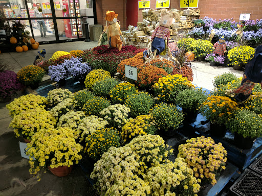 Grocery Store «Schnucks», reviews and photos, 200 N Vine St, Urbana, IL 61802, USA