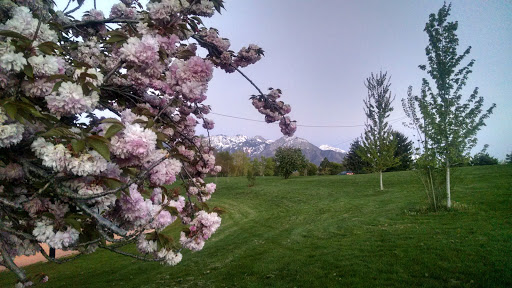 Park «Sugar House Park», reviews and photos, 1330 2100 S, Salt Lake City, UT 84106, USA