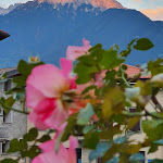 Photo n°3 de l'avis de Rainer.l fait le 05/09/2021 à 19:42 sur le  Osteria Concarena à Cerveno