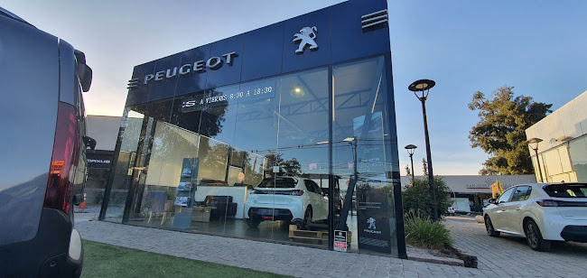 Peugeot Chicureo