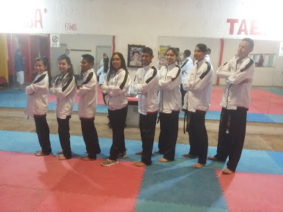 Academia Nacional De Taekwondo Ciudad Juarez Chihuahua