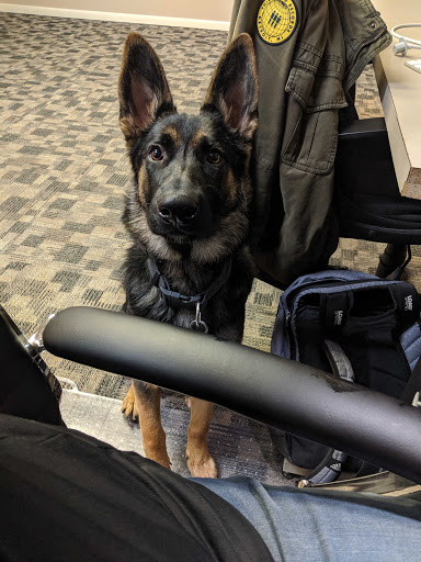 Computer Repair Service «W.A.C.D.,LLC», reviews and photos, 810 S Buffalo St, Warsaw, IN 46580, USA