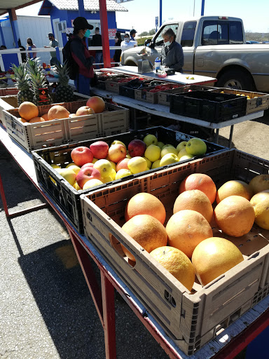 Flea Market «The Mission Market Open Air Market», reviews and photos, 207 W Chavaneaux Rd, San Antonio, TX 78221, USA