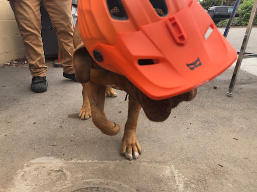 Bicycle Store «Cycle Works», reviews and photos, 1420 Mission St, Santa Cruz, CA 95060, USA