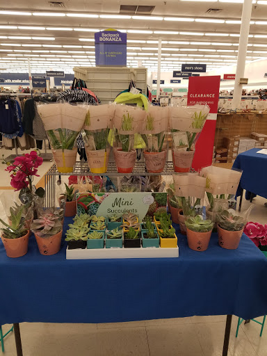 Department Store «Marshalls», reviews and photos, 1400 Boston Rd, Springfield, MA 01119, USA