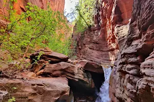 Spring Creek Canyon Trailhead image