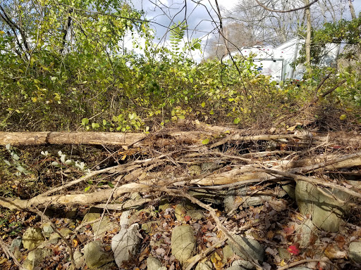 Car Repair and Maintenance «Midas», reviews and photos, 920 Route 46 East, Kenvil, NJ 07847, USA