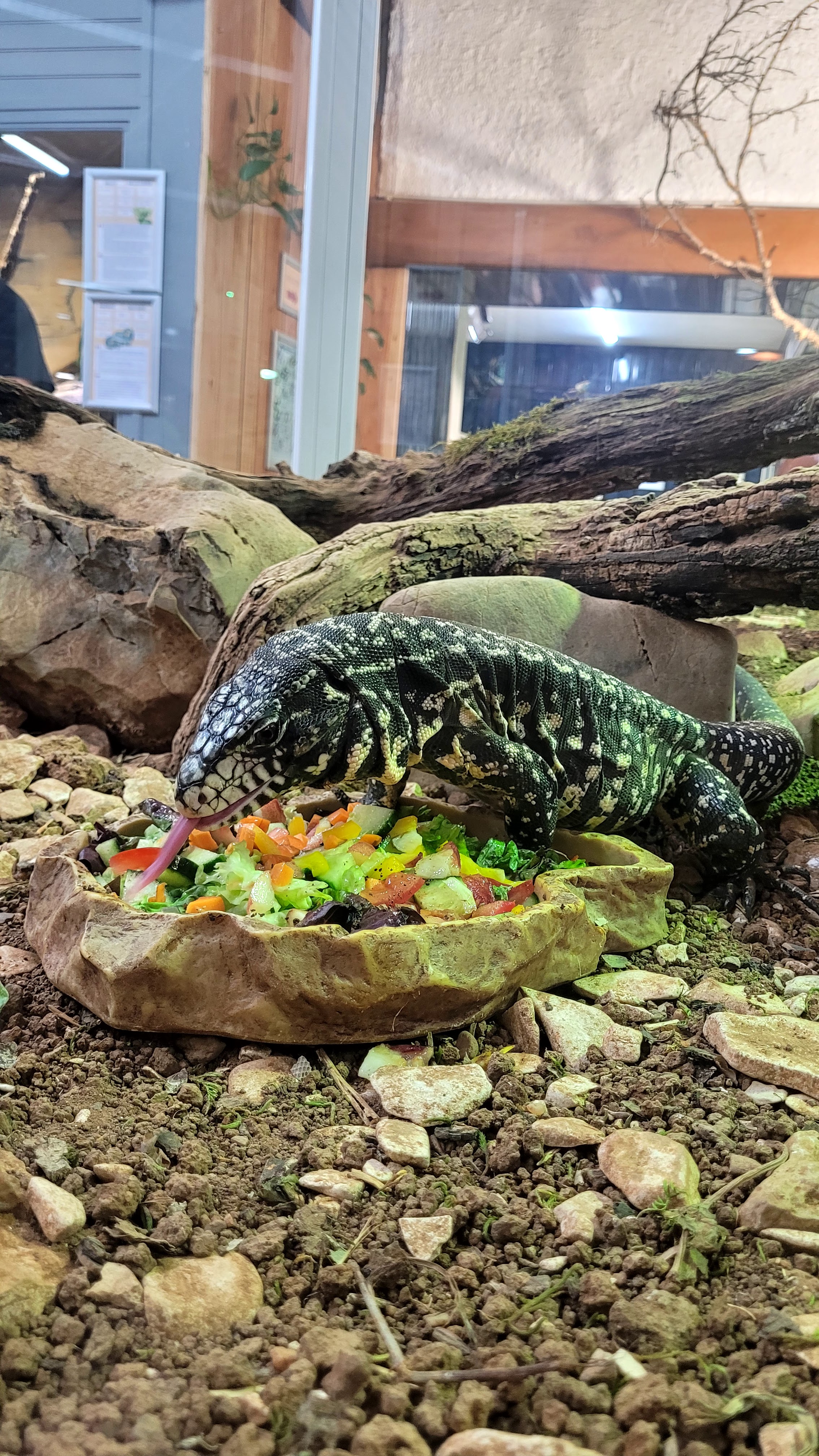 Photo n° 5 de l'avis de Anthony.e fait le 08/07/2023 à 20:58