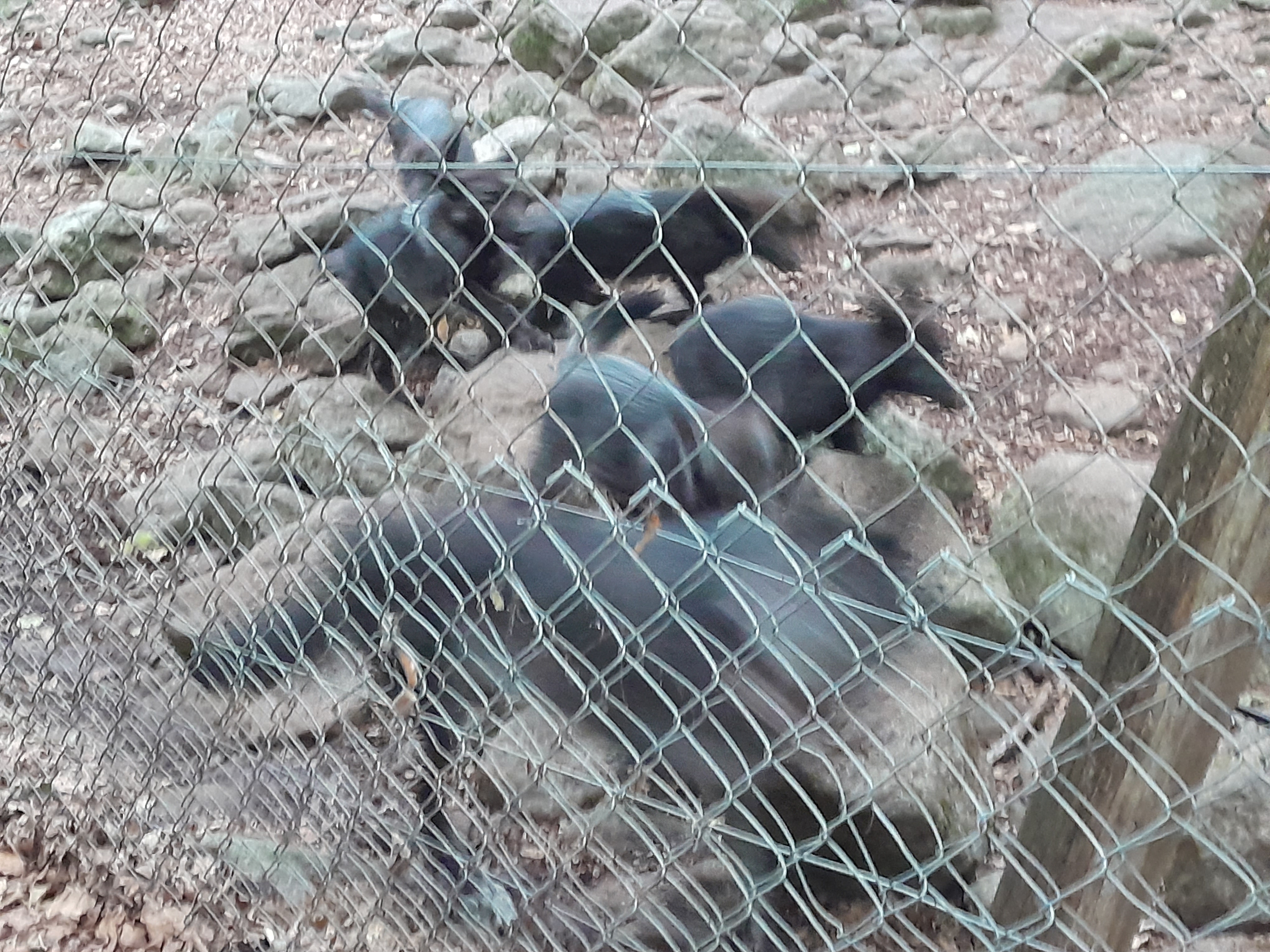 Photo n° 4 de l'avis de Nessy.O fait le 16/08/2022 à 12:33