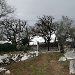 Photo n°2 de l'avis de Mafalda.u fait le 01/03/2022 à 09:15 sur le  Retiro da Avó Lidia à Mendiga