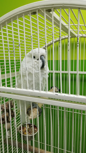 Pet Store «Coral Reef Pet Center», reviews and photos, 7723 W Lawrence Ave, Norridge, IL 60706, USA