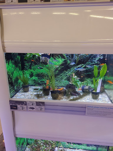 Pet Supply Store «Petco Animal Supplies», reviews and photos, 1933 South Rd, Poughkeepsie, NY 12601, USA