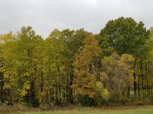 Orchard «Autumn Hills Orchard», reviews and photos, 495 Chicopee Row, Groton, MA 01450, USA