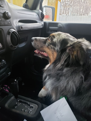 Auto Parts Store «NAPA Auto Parts - Shakelton Auto & Truck Center», reviews and photos, 5 Canal St, Port Jervis, NY 12771, USA