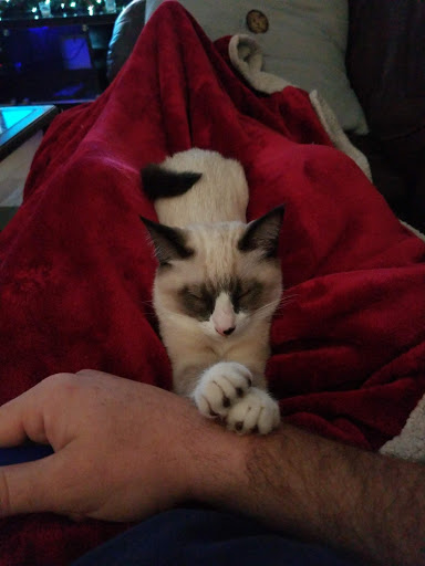 Pet Supply Store «Petco Animal Supplies», reviews and photos, 103 Commerce Way a, Woburn, MA 01801, USA