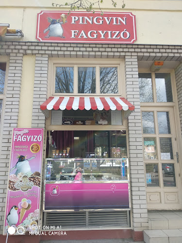 Pingvin Fagyizó - Fagylaltozó