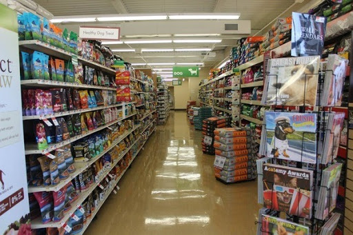 Pet Supply Store «Pet Supplies Plus», reviews and photos, 175 Memorial Ave, West Springfield, MA 01089, USA