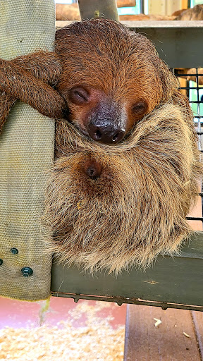 Zoo «Gulf Breeze Zoo», reviews and photos, 5701 Gulf Breeze Pkwy, Gulf Breeze, FL 32563, USA