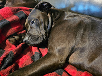 Liberty Locksmith Of Pasco County LLC - Photo 7 - Car repair in , Brandon