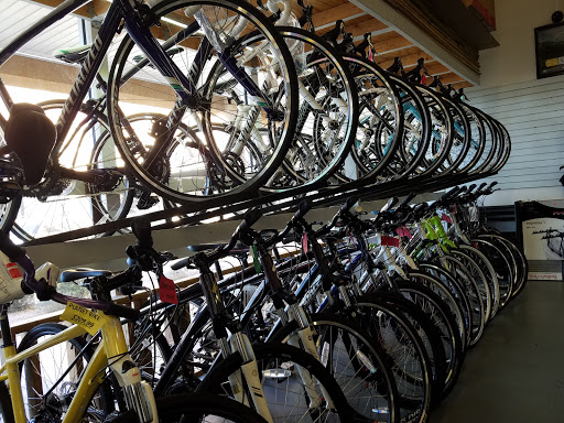 Bicycle Store «Planet Bike», reviews and photos, 6407 Bandera Rd, San Antonio, TX 78238, USA