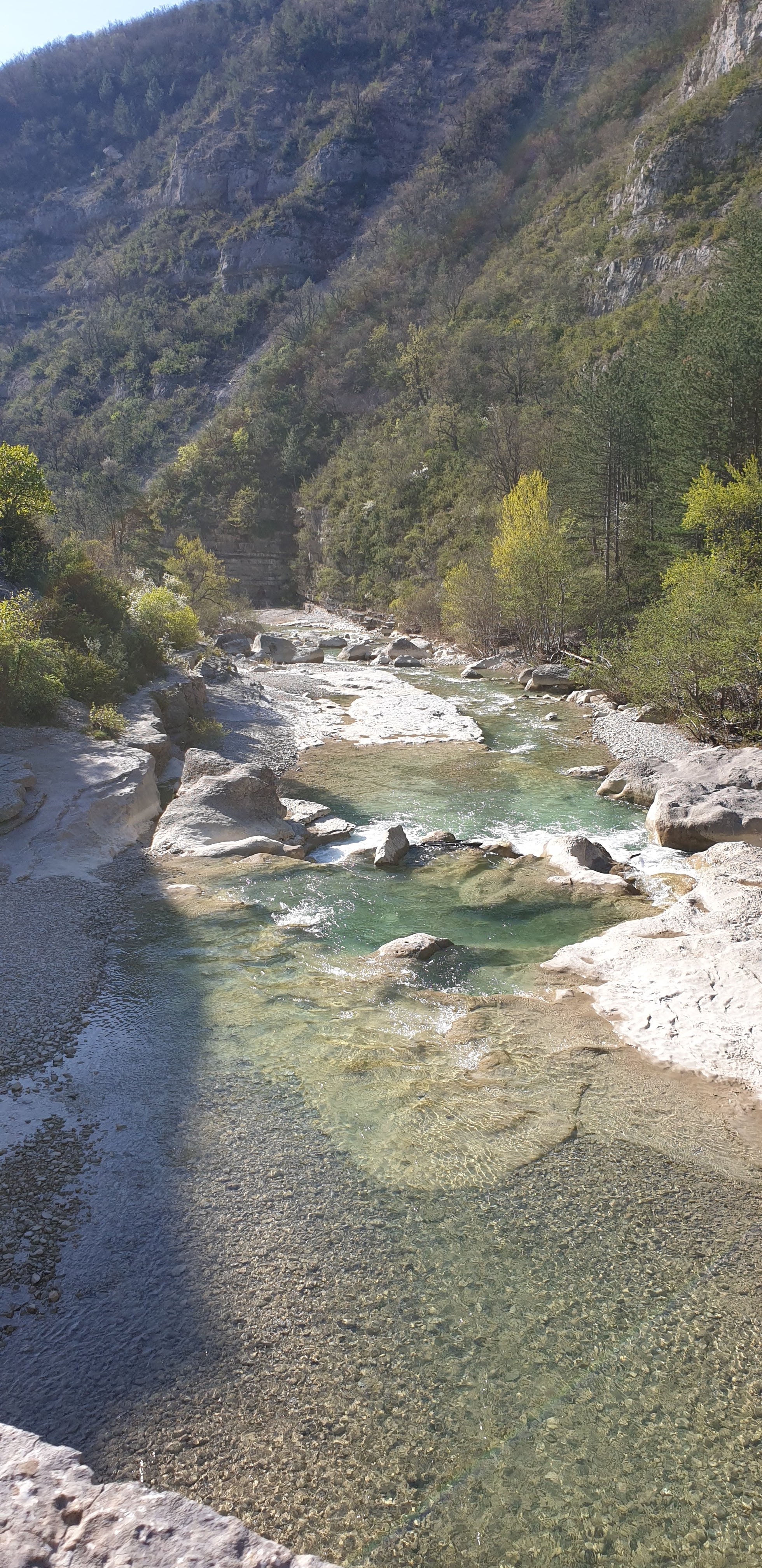 Photo n° 20 de l'avis de Asch. fait le 21/04/2019 à 05:26