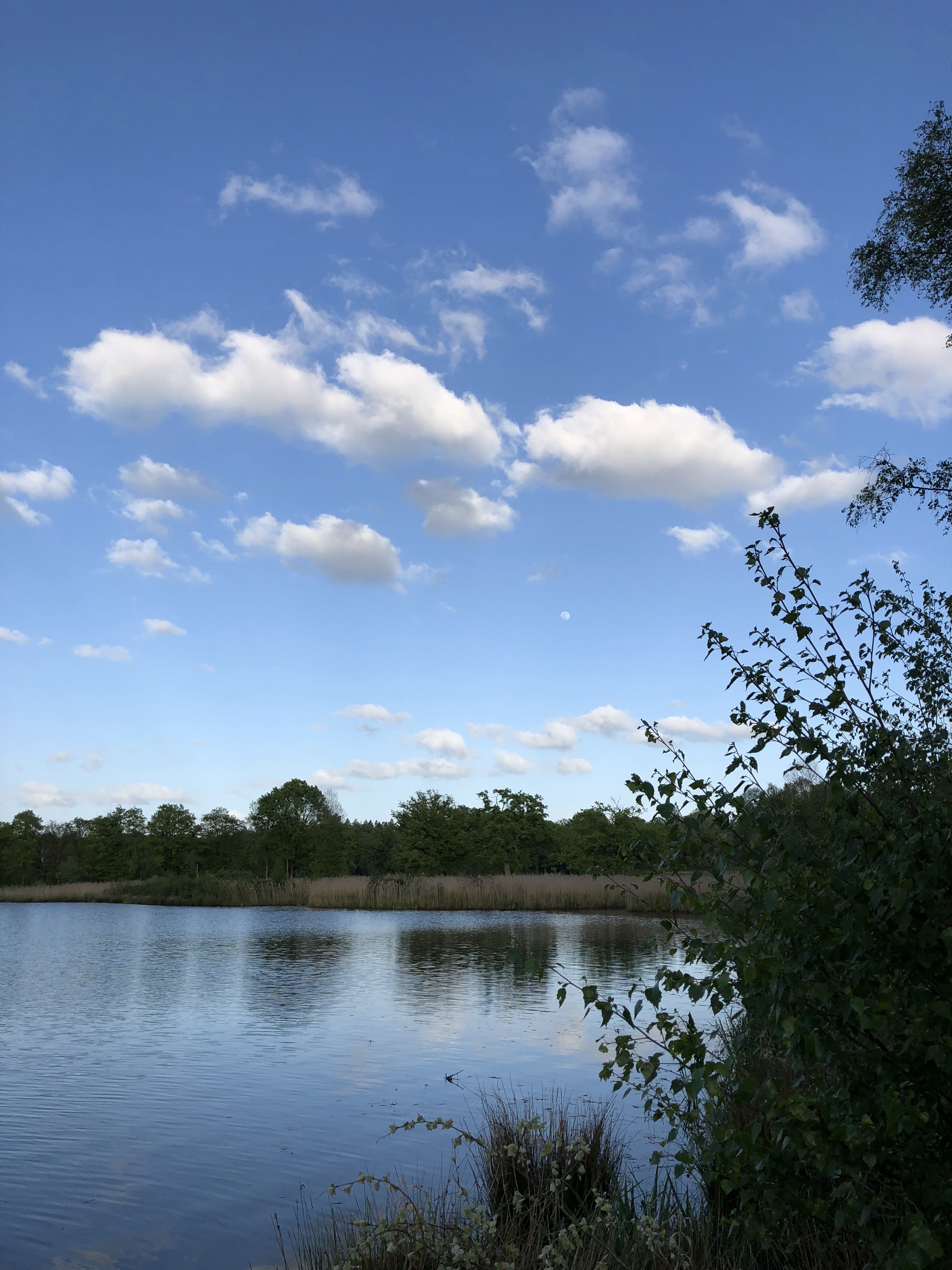 Photo n° 3 de l'avis de Veronika.n fait le 21/06/2018 à 08:19