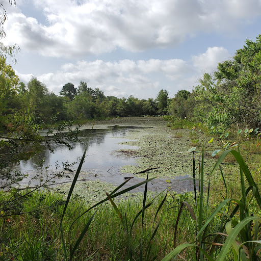 Park «Sheldon Lake State Park and Environmental Learning Center», reviews and photos, 14140 Garrett Rd, Houston, TX 77044, USA