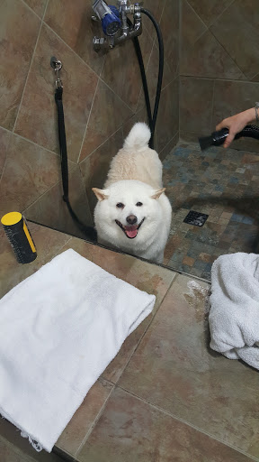 Pet Store «Pet Valu», reviews and photos, 11099 Resort Road a302, Ellicott City, MD 21042, USA