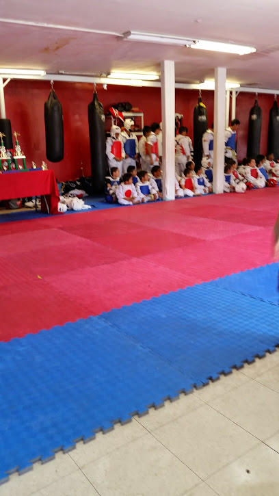 Team Fearless Academy of Martial Arts Taekwondo