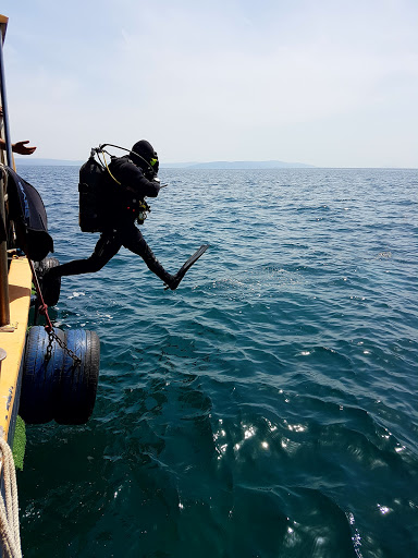 Szkoła Nurkowania BLUE DIVING