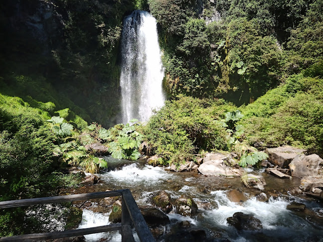 Opiniones de Parque Nacional Villarrica en Pucón - Camping