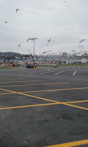 Department Store «Walmart Supercenter», reviews and photos, 2001 Glenn Blvd SW, Fort Payne, AL 35968, USA