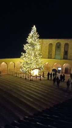 Vidéos hôtels Hotel Sorella Luna 06081 Assisi