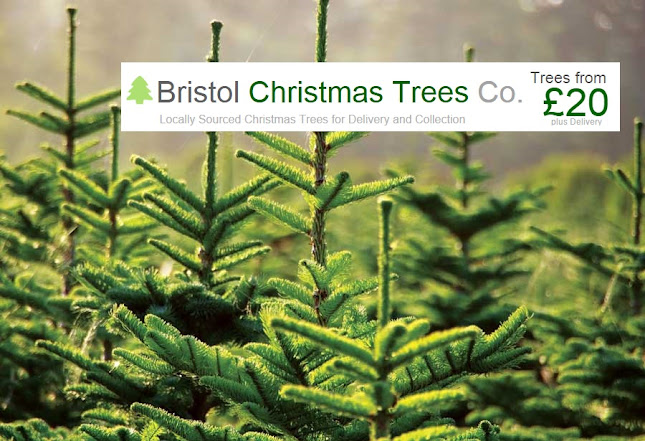 Bristol Christmas Trees - Baby store