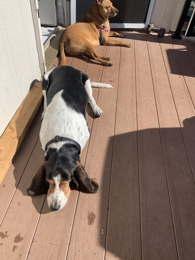 Golden Paws Bark and Breakfast