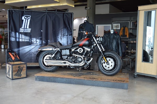 Imagen de Harley Zaragoza (9 de 12)