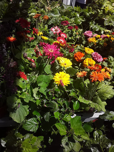 Key Duplication Service «Car Key Specialist Inc», reviews and photos, 14650 Parthenia St, Panorama City, CA 91402, USA