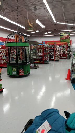 Pet Supply Store «Petco Animal Supplies», reviews and photos, 308 E Meighan Blvd, Gadsden, AL 35903, USA