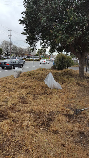 Thrift Store «St. Vincent de Paul Thrift Store & Donation Center, Fremont», reviews and photos, 3777 Decoto Rd, Fremont, CA 94555, USA