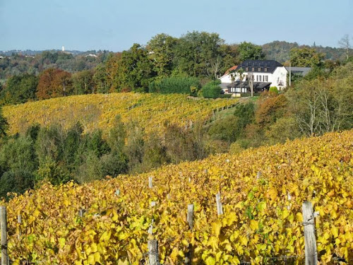 Cru Lamouroux à Jurançon