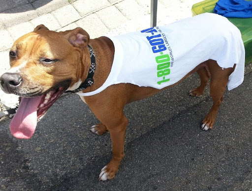 Garbage Collection Service «1-800-GOT-JUNK? San Antonio», reviews and photos