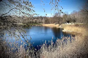 Aussichtspunkt Botanischer Garten/Linauteich image