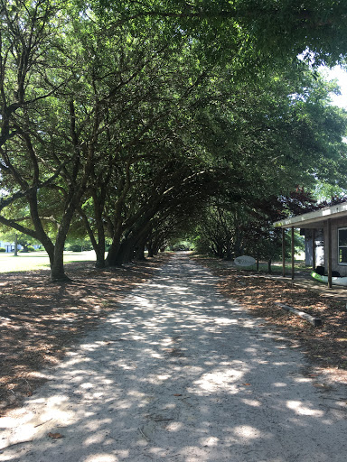 Vineyard «Martin Vineyards», reviews and photos, 213 Martin Farm Ln, Knotts Island, NC 27950, USA