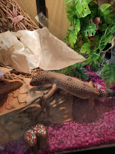 Pet Supply Store «Mini Pet Mart», reviews and photos, 815 S Broadway, Coos Bay, OR 97420, USA