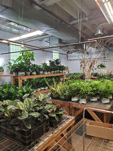 Florist «Sieck-Wright Floral Products», reviews and photos, 231 Monmouth St, Hightstown, NJ 08520, USA