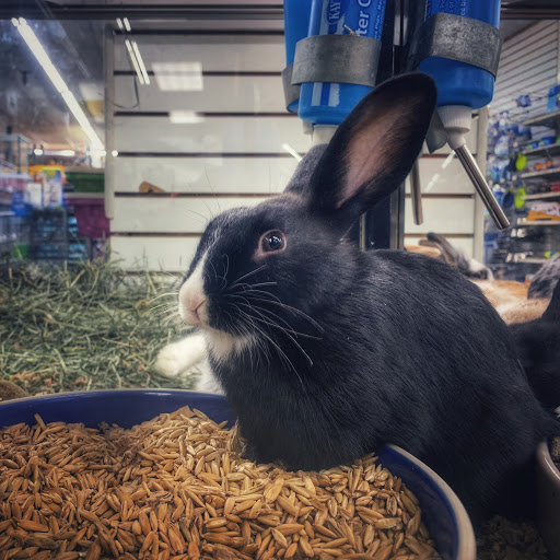 Pet Store «Pets Plus», reviews and photos, 151 Lincoln Hwy, Fairless Hills, PA 19030, USA