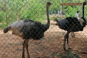 Birds Park/ Birds Research Centre. Hambantota image
