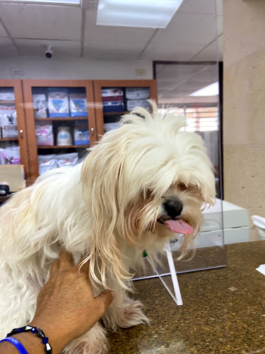 Ponce Animal Hospital